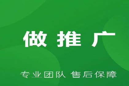 解析某某SEM服务公司的广告投放策略与效果评估